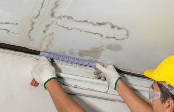 Reliable Mold Remediation contractor in Presho, SD by Water Damage Irwin